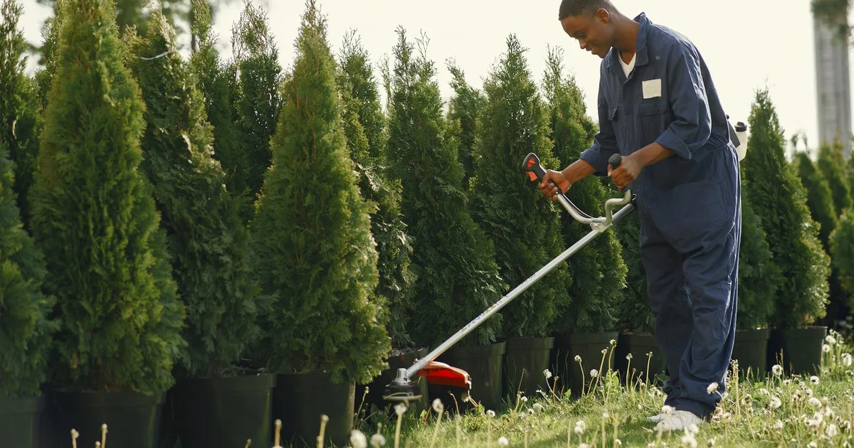 Landscaping & Lawn Care Costs in 2026: Complete Pricing Guide