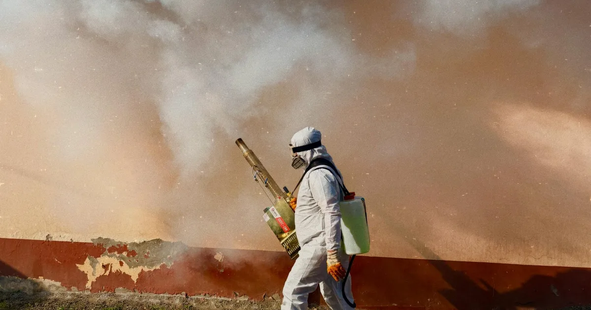 Pest Control Costs in 2026: Exterminator Prices for Every Situation